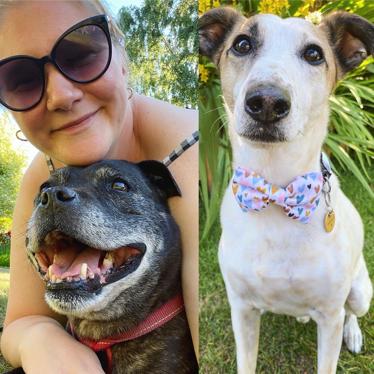 ellieroddy's tweet photo. Happy #InternationalDogDay 🐶🐾 https://t.co/wTSPI3OLs0