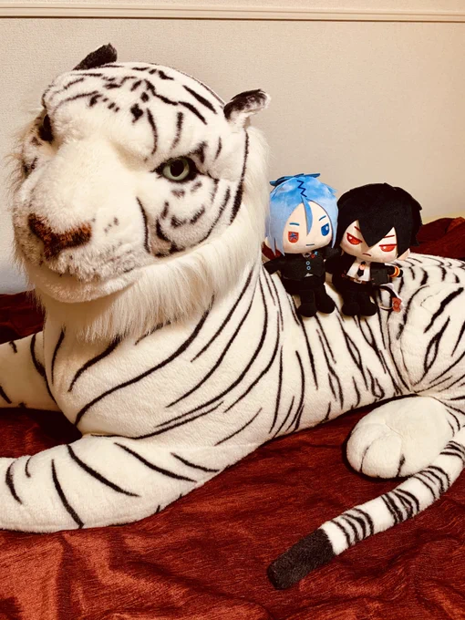 ぬい届きましたわ〜!虎に乗せてもらっている骸雲くんです 