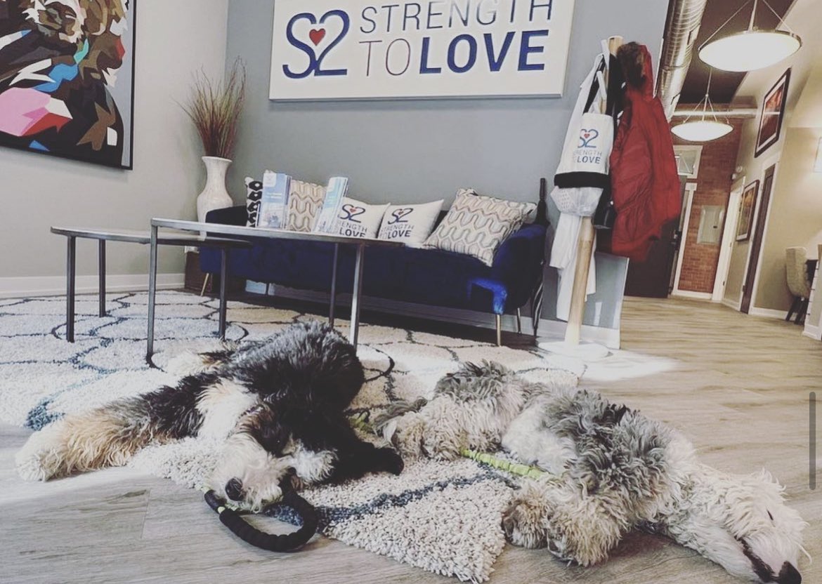 strengthtolove1's tweet photo. Somebody needs some Friday motivation? Nah…Cooper and Emma heard it’s #nationaldogday and decided they can do whatever they want.  Pets are medicine.  Get outside with yours, take a walk and enjoy the weekend! 
#officedogs #stlfoundation #stlclinic #chicago #fridaymorning https://t.co/PcIztjuF0a