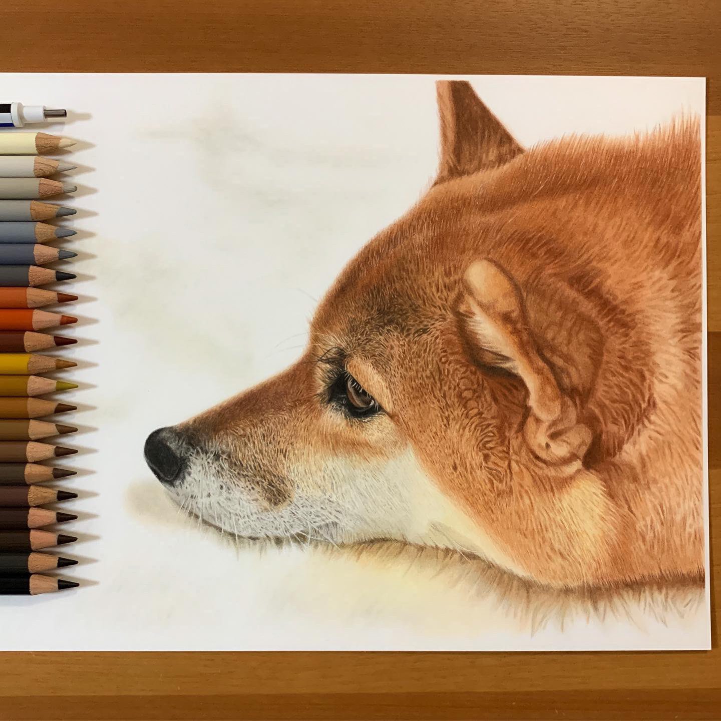 ここまる 著書 超絶リアルな色鉛筆画のテクニック 好評販売中 Cocomaru S Twitter