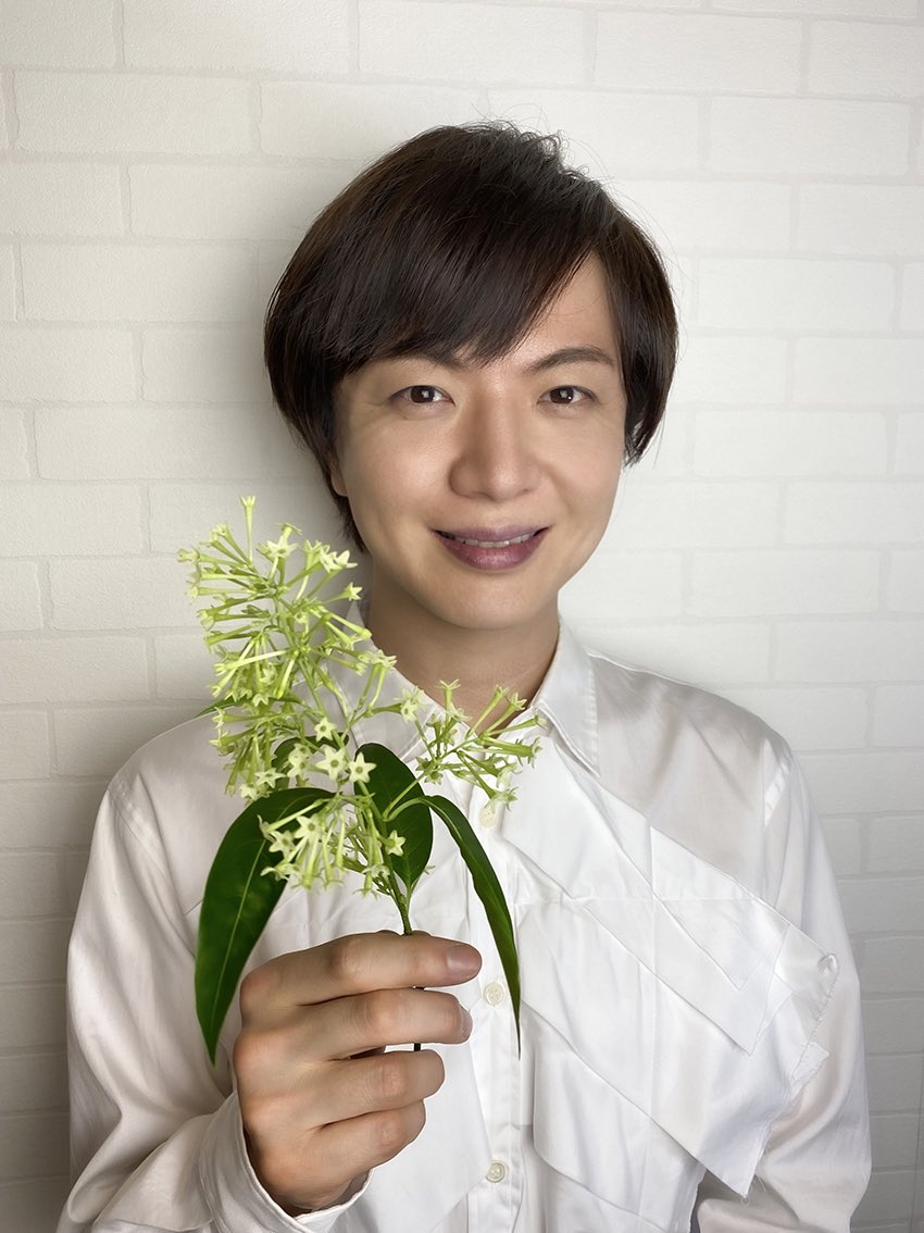 ひろ丸 Takeshima Staff 夜来香イエライシヤン 花言葉 魅惑的 原産国中国南部 ベトナム キヨウチクトウ科 つる性 咲き始めは淡い黄緑で次第に濃い黄色に芳香性があり夜には香りが強くなる5弁の星 形の可愛いお花 プレゼントの不思議なお 花笑顔の宏