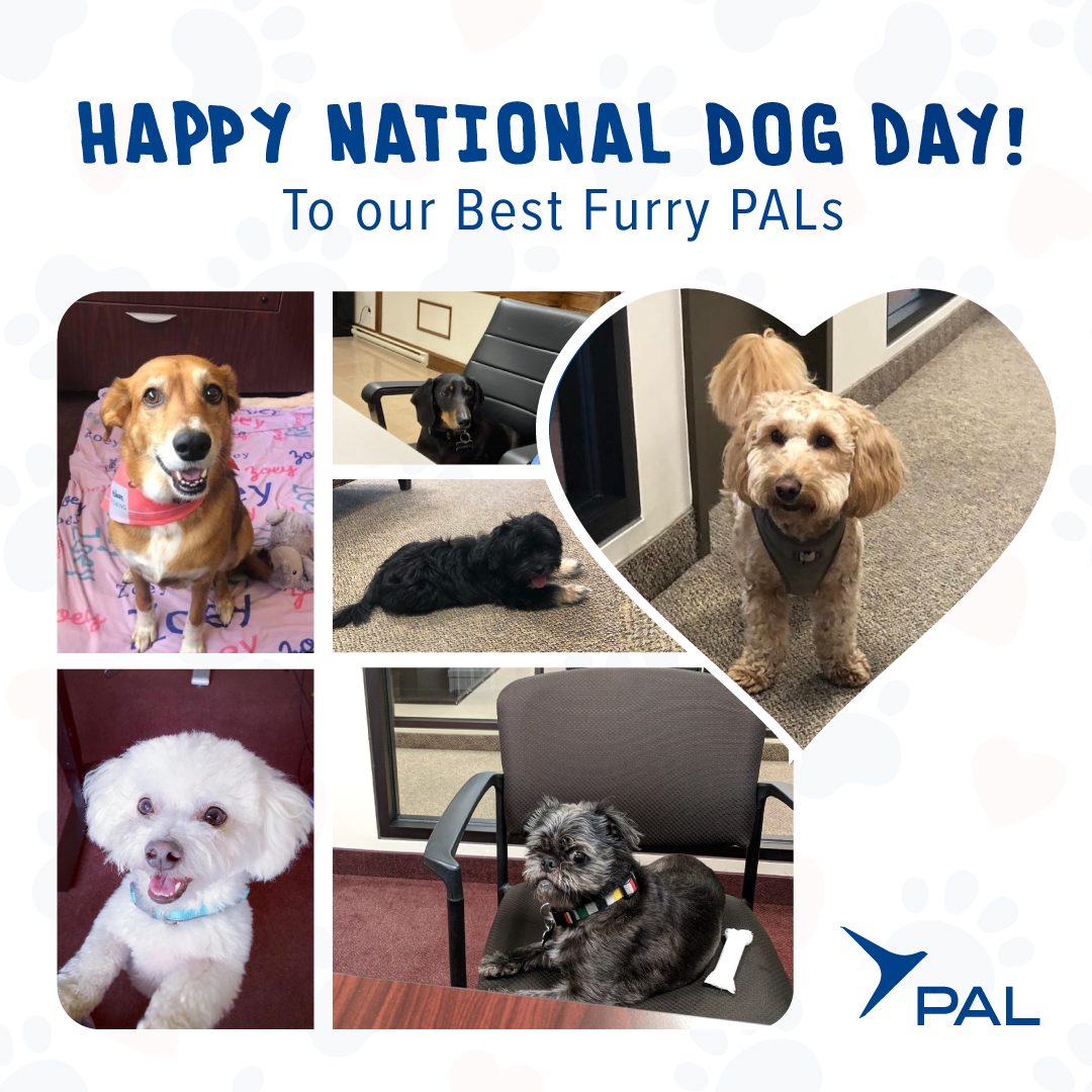 MFC Training tweet media