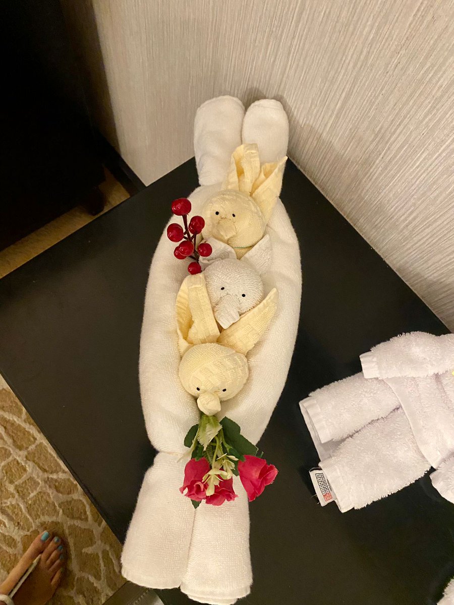 NungshiTashi's tweet photo. Hello again #Kolkata , after 15 yrs!👋👋Despite some recent 'climbing gift' injuries, glad to be able to travel for a #Motivational talk to anticipated young &amp; vivacious #corporate  audience who're ready to achieve #beyondworldclass !!
@asianpaints 
#FridayFeeling #Adventures https://t.co/kDNTXkGkyn