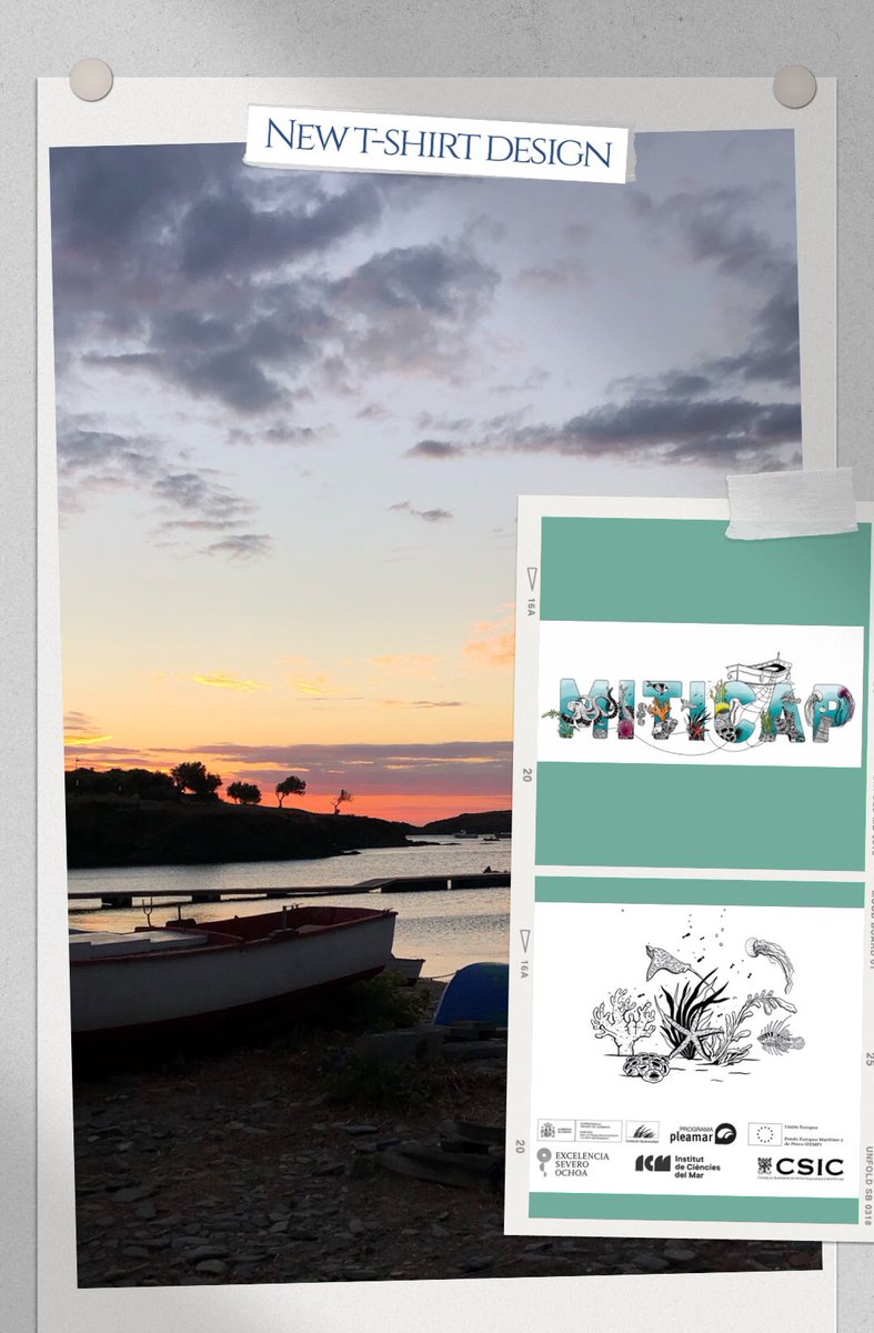 miticap2020's tweet photo. Qué ilusión!! 🏆👕 Este año estrenamos un nuevo design de camiseta Miticap ilustrada por Andrea Guerra @ICMCSIC @PatriiiBaena @claudia_traboni @JMirArguimbau @arimartinezdios @StefanoAmbroso @rescap2019 https://t.co/erAXqtFgnE
