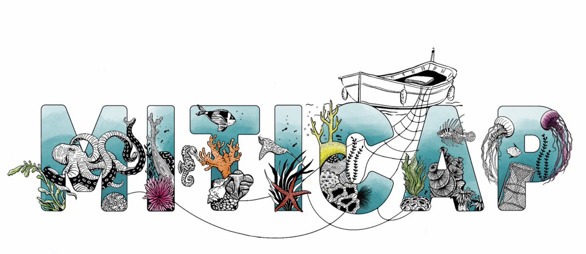 miticap2020's tweet photo. Qué ilusión!! 🏆👕 Este año estrenamos un nuevo design de camiseta Miticap ilustrada por Andrea Guerra @ICMCSIC @PatriiiBaena @claudia_traboni @JMirArguimbau @arimartinezdios @StefanoAmbroso @rescap2019 https://t.co/erAXqtFgnE