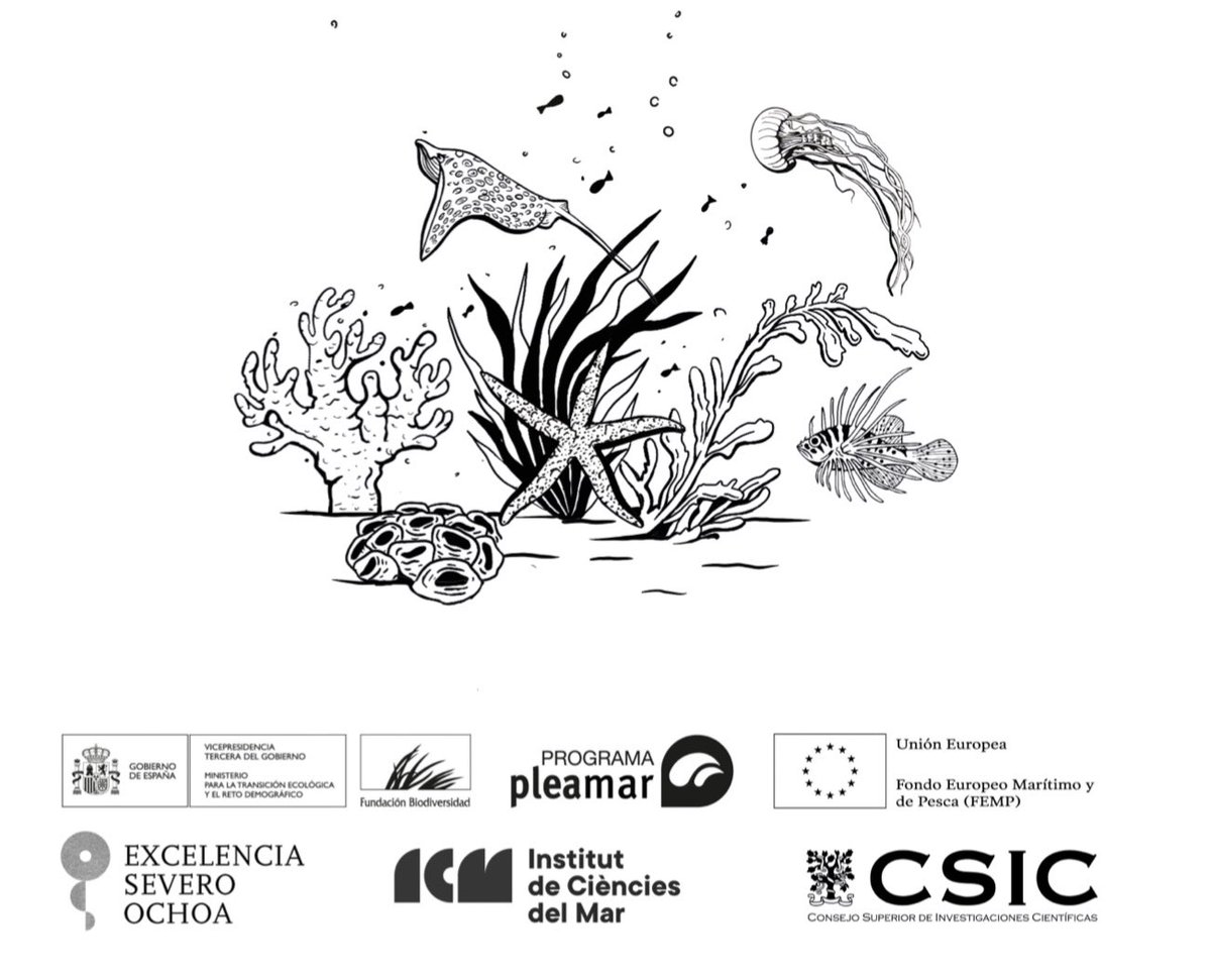 miticap2020's tweet photo. Qué ilusión!! 🏆👕 Este año estrenamos un nuevo design de camiseta Miticap ilustrada por Andrea Guerra @ICMCSIC @PatriiiBaena @claudia_traboni @JMirArguimbau @arimartinezdios @StefanoAmbroso @rescap2019 https://t.co/erAXqtFgnE