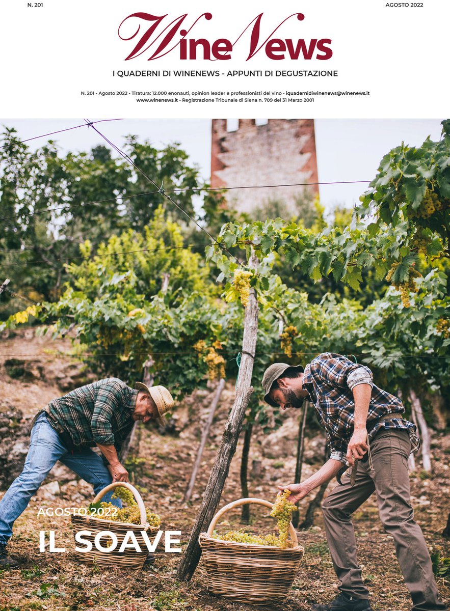 WineNewsIt's tweet photo. 12 mesi - 12 territori simbolo del vino italiano. Sono online I Quaderni di WineNews: commenti, rubriche e appunti di #degustazione del mese di Agosto 2022 su “#IlSoave”, https://t.co/Co7unCXh1R https://t.co/aPLe7pVv2B