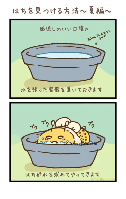 はちを見つける方法～夏編～
 #脊椎動物はちさんまとめ 