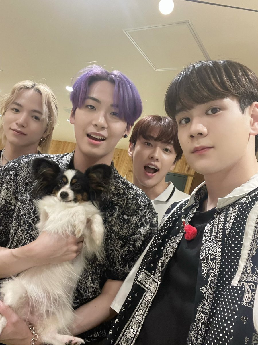 [📸] #JO1 with わんちゃん

中型犬チーム 🐕

#川尻蓮 #川西拓実 #河野純喜 #豆原一成
しれっと #大平祥生 
#Hi_JO1