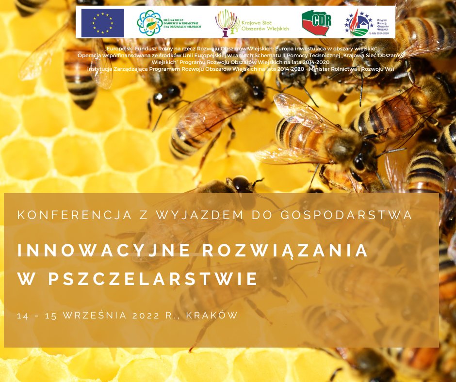 CDR Radom tweet media