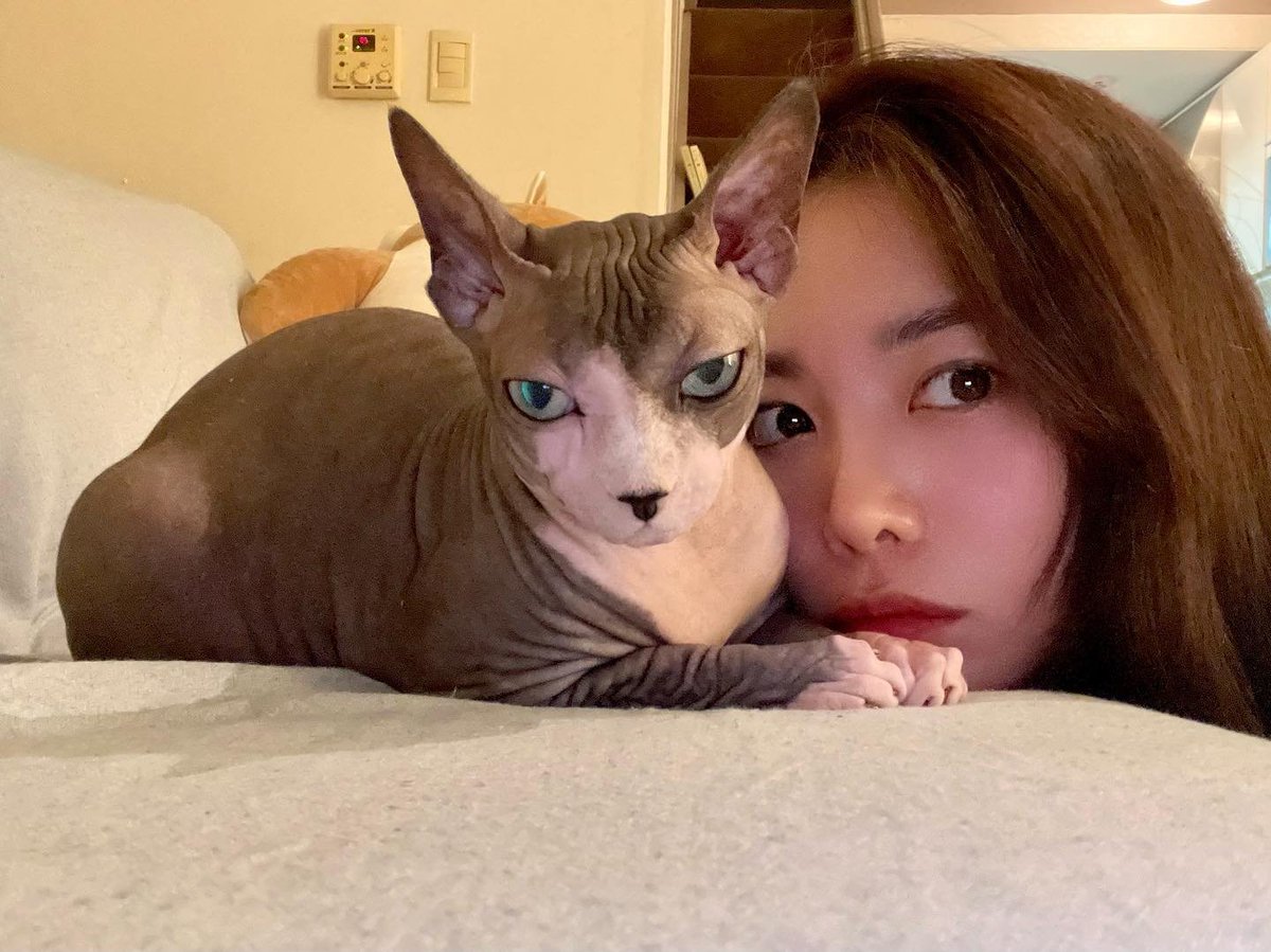 220826 #졤마그램 업뎃

🖤

instagram.com/p/ChuKIW2LY7K/…