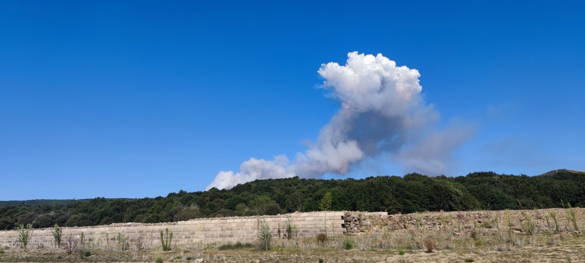 DamianPerezC's tweet photo. Gran tristeza por el incendio. Dos días ya ardiendo. Gracias infinitas a los equipos terrestres y aéreos que se juegan el pellejo para salvar nuestro monte @BrifLaza @AT_Brif @briftabuyo @incendios085 @Incendiosgalic1 #xures #ourense #IFSanXesLobeira https://t.co/sA7WzRGVmj
