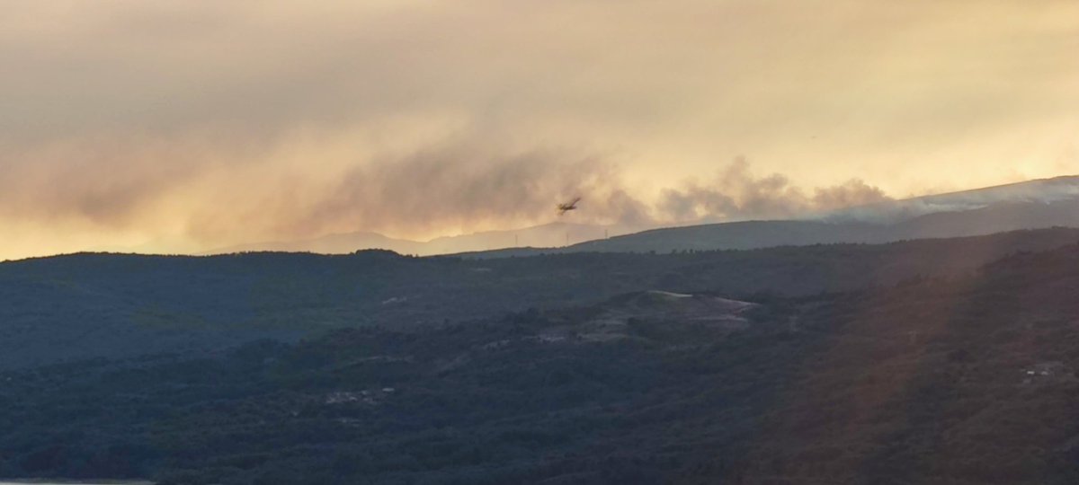 DamianPerezC's tweet photo. Gran tristeza por el incendio. Dos días ya ardiendo. Gracias infinitas a los equipos terrestres y aéreos que se juegan el pellejo para salvar nuestro monte @BrifLaza @AT_Brif @briftabuyo @incendios085 @Incendiosgalic1 #xures #ourense #IFSanXesLobeira https://t.co/sA7WzRGVmj