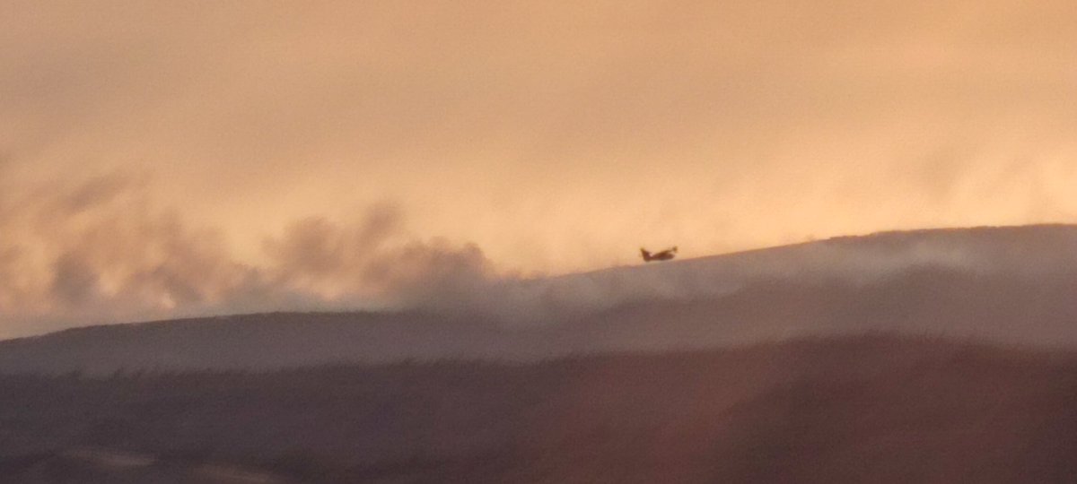 DamianPerezC's tweet photo. Gran tristeza por el incendio. Dos días ya ardiendo. Gracias infinitas a los equipos terrestres y aéreos que se juegan el pellejo para salvar nuestro monte @BrifLaza @AT_Brif @briftabuyo @incendios085 @Incendiosgalic1 #xures #ourense #IFSanXesLobeira https://t.co/sA7WzRGVmj