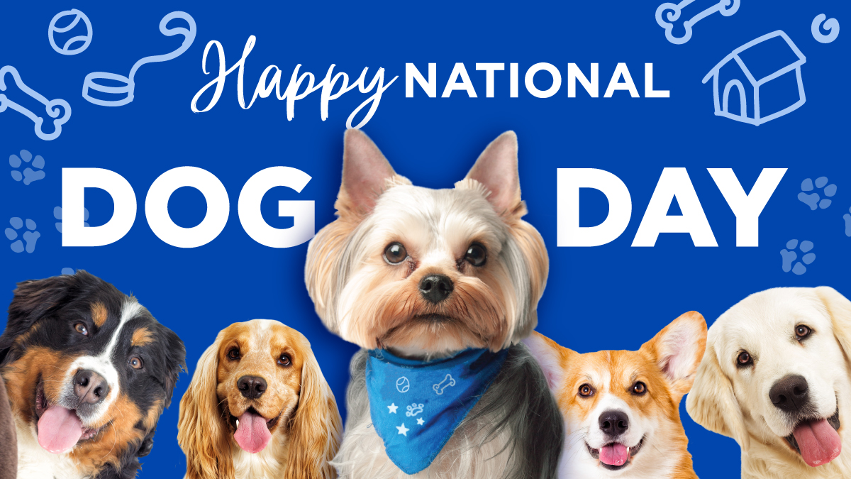 Duffy Hill (@sirduffield) on Twitter photo 