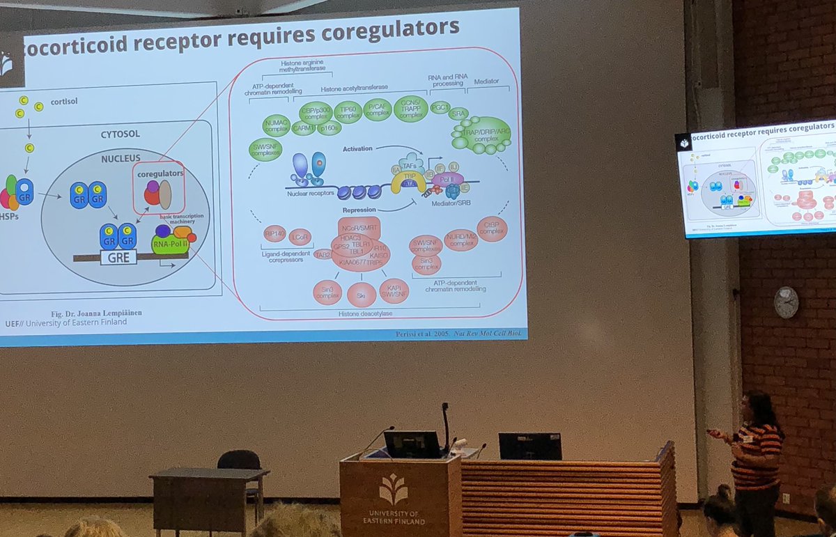 PasonenSanna's tweet photo. Interesting data related to #inflammation - protumor inflammation in melanoma, EVs in inflammed liver, anti/inflammatory signaling by @KirsiKainulain @JMMatilainen and Velidendla Bharadwaja in the #UEFwinterschool @UEF_Biomed @UEF_DPMM https://t.co/z9zaDOVFOP