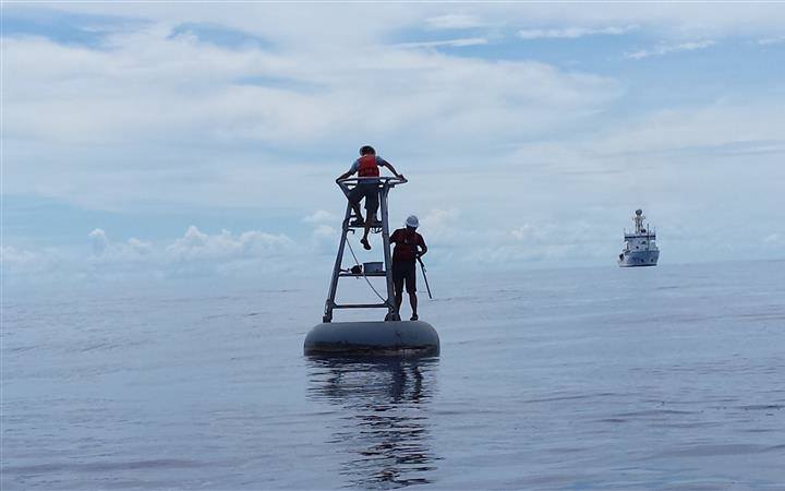 NOAANCEI's tweet photo. NCEI released the newest version of the Surface Ocean Carbon Atlas database with 33.7 million observations from 1957 to 2021. https://t.co/VVu9zyDiFE #NCEIOcean @NOAA https://t.co/6QWMhn4VSR