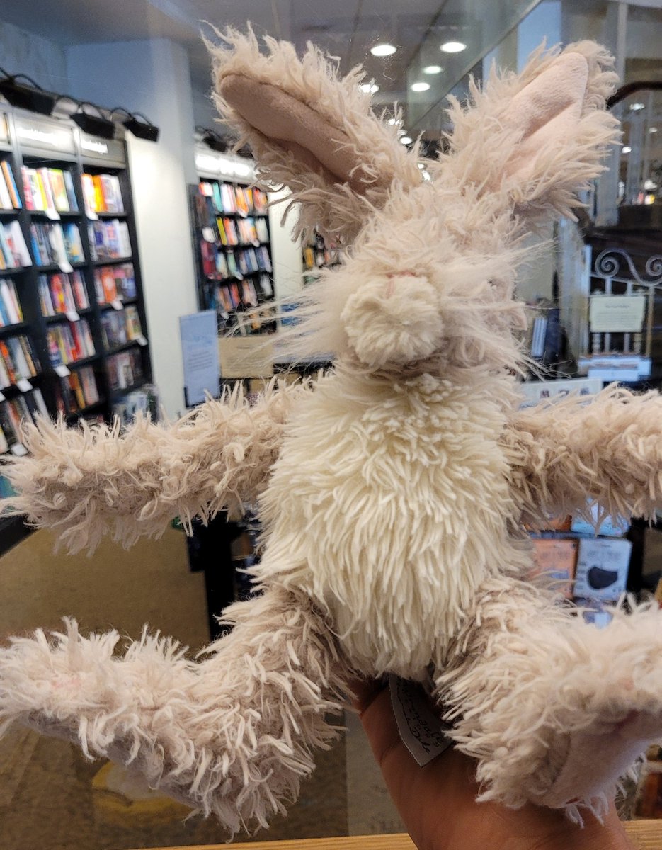 swanseastones's tweet photo. WE INTERRUPT THIS BROADCAST WITH AN URGENT MESSAGE

We have a LOST RABBIT in the shop.

Do you recognise this rabbit? Can you help us reunite it with its owner? https://t.co/e1T8LV7YcR