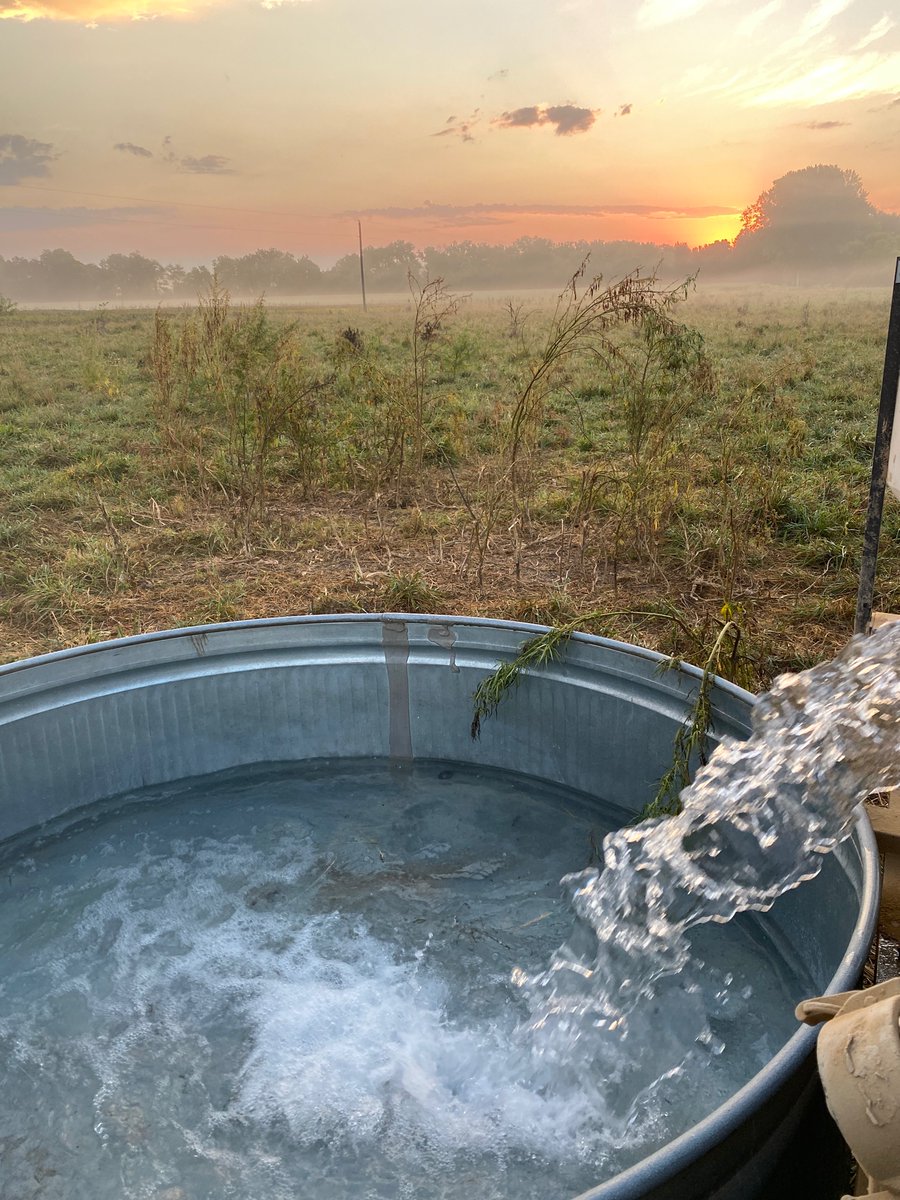 jharring21's tweet photo. Beautiful morning to…..haul water 🙄 https://t.co/dLYzlfu2ah