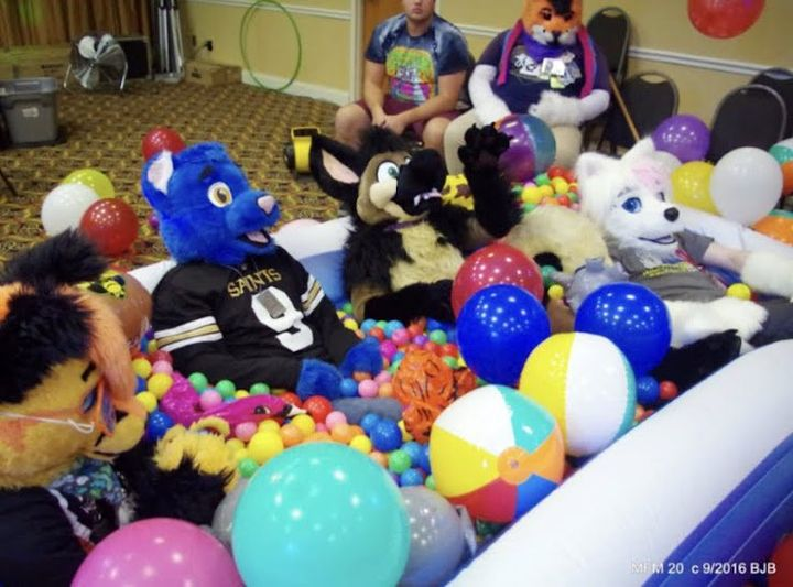 THE_BJBUTTONS's tweet photo. #fursuitFriday come on in , the #balls are fine Some fursuiters in the ball pit at #Mephit2016 #Mephit2022 starts in 6 days! @mephitfurmeet #Mephitfurmeet #Mephit #MFM #fursuiter #fursuiting #bear #costume https://t.co/k9cN0ju5qp