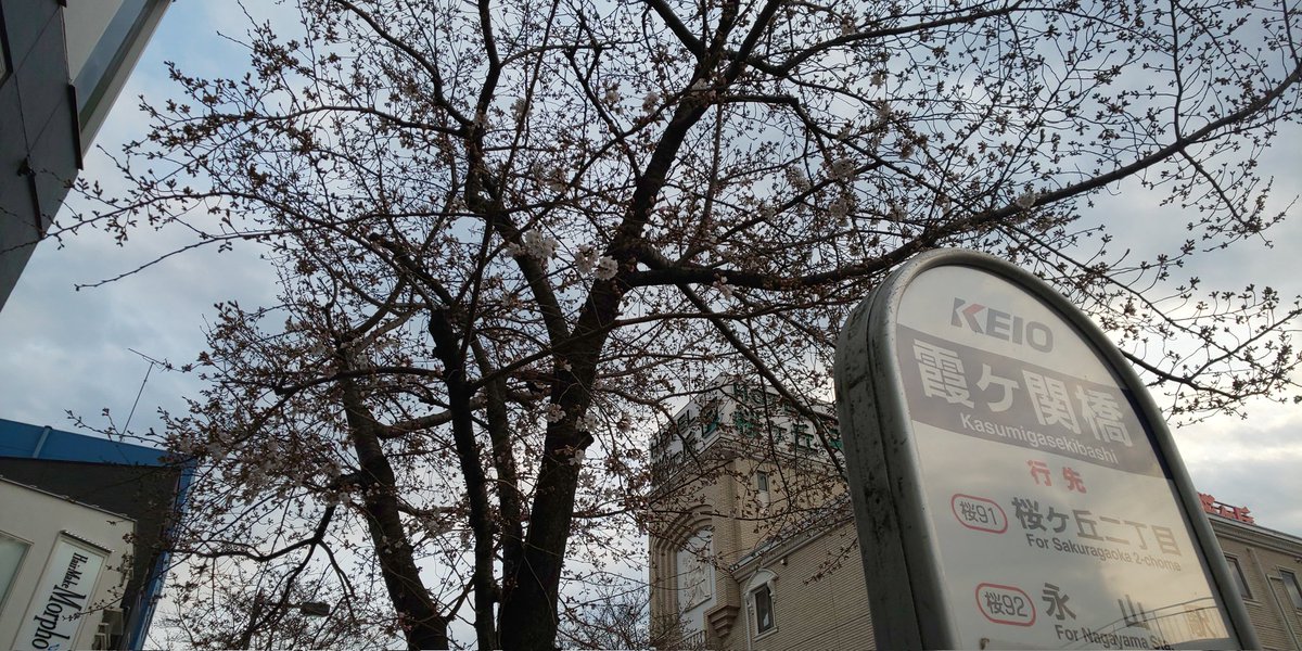 今日の金ローは耳すま放送なので聖地製崎桜ケ丘の画像貼っときますね
#金曜ロードショー #耳すま 