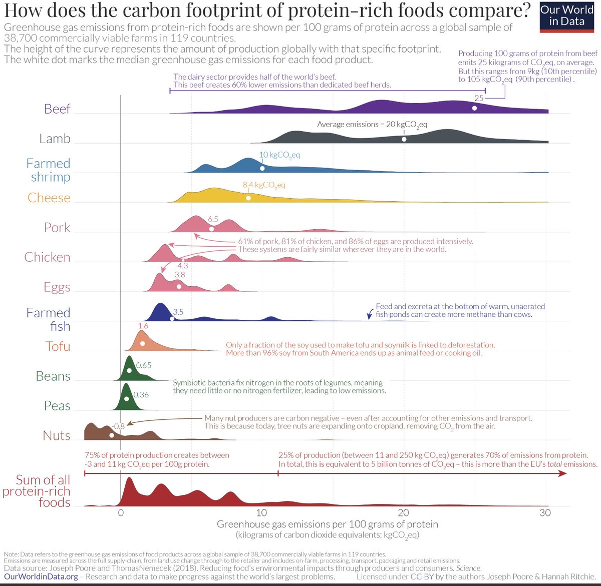 TalkSalmon tweet media