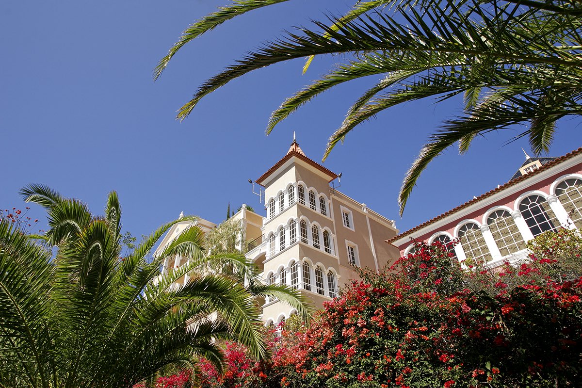 BahiadelDuque's tweet photo. An Eden to lose yourself. 

With over 63.000sqm of lush tropical and subtropical vegetation, the gardens of Bahía del Duque create a natural paradise, which has in turn created a bio-climate of its own with more than 300 different species. https://t.co/jX6fINh2OU