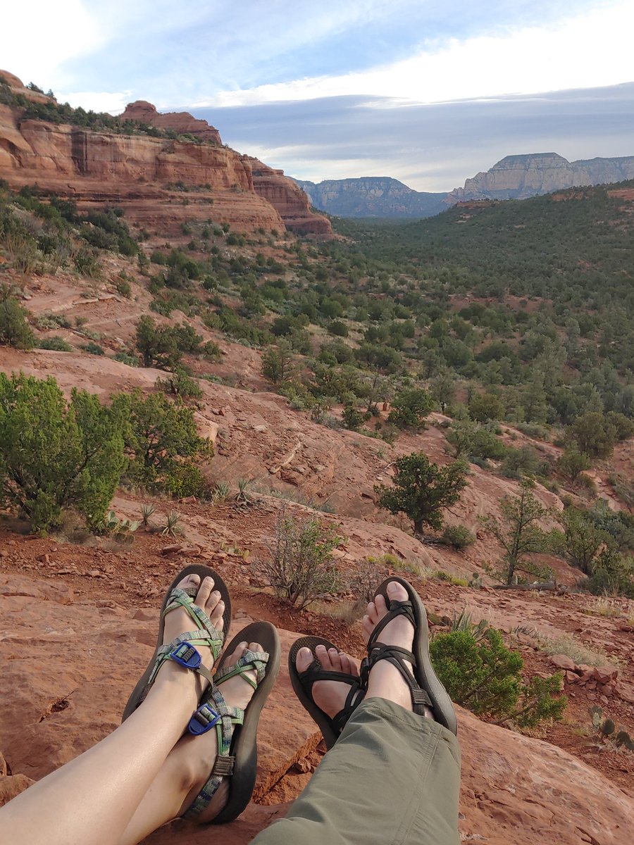 Sarah Beal tweet media