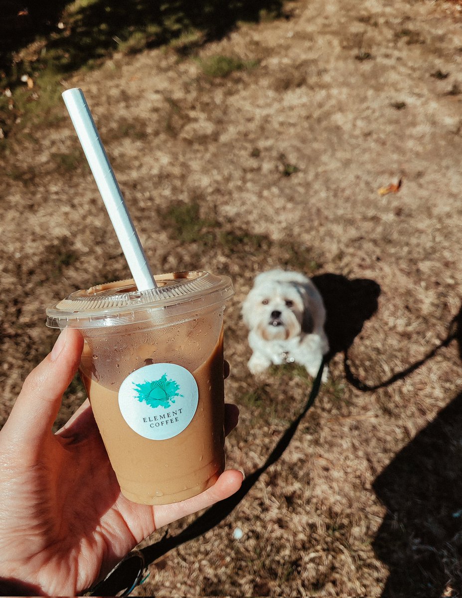 ElementCoffeeUK's tweet photo. Happy #InternationalDogDay from all of us at Element! Treat yourself, treat your dog 💚 https://t.co/WdgQVPIWGj