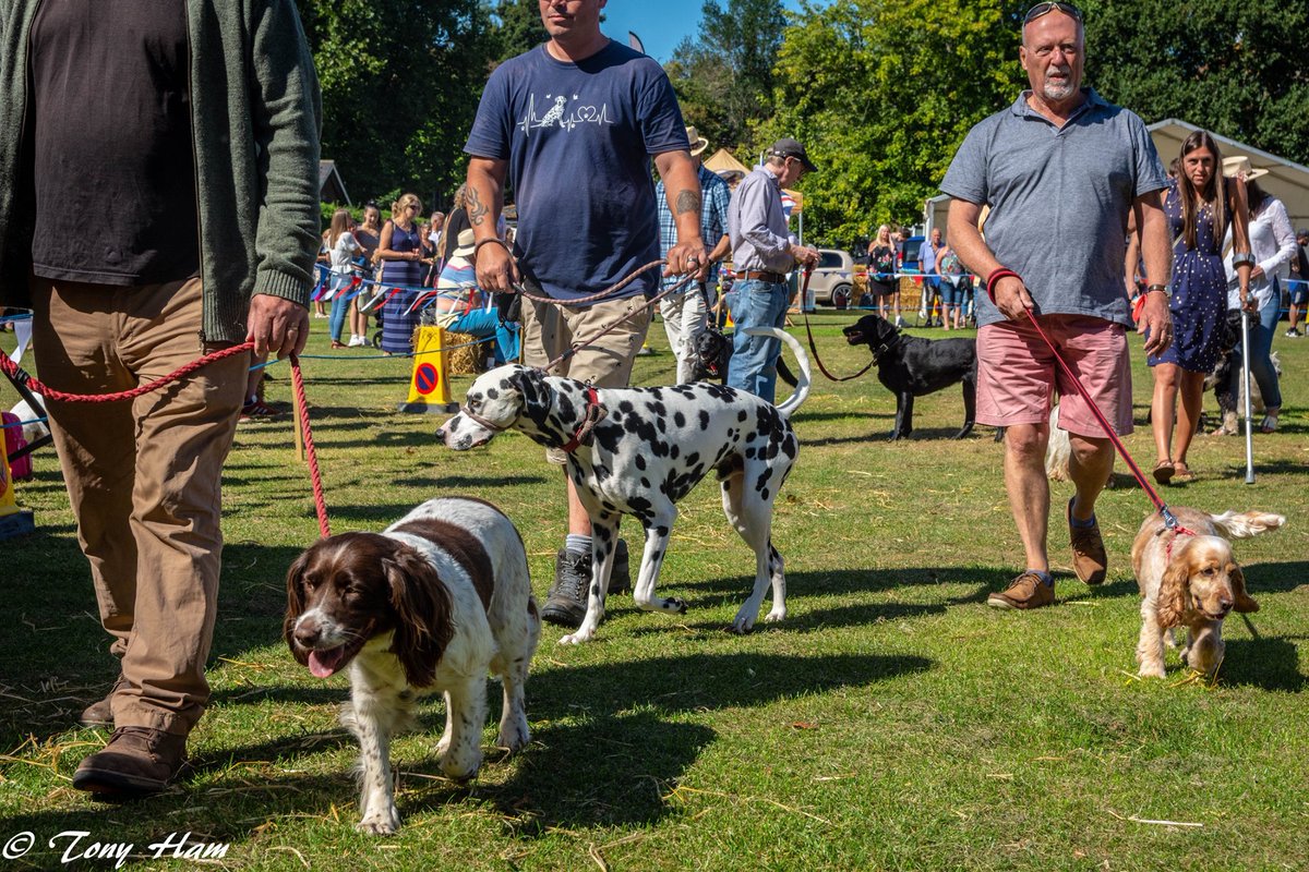 Our festival dog show returns this year... so bring your furry friends along! 
This year we have two classes in our Dog Show –
Waggiest Young Salty Sea Dog (for dogs under 8
years), and Best Veteran Jack Tar (for dogs over 8
years)!
Find out more info here
ryefestivalofthesea.co.uk/whats-on/dog-s…