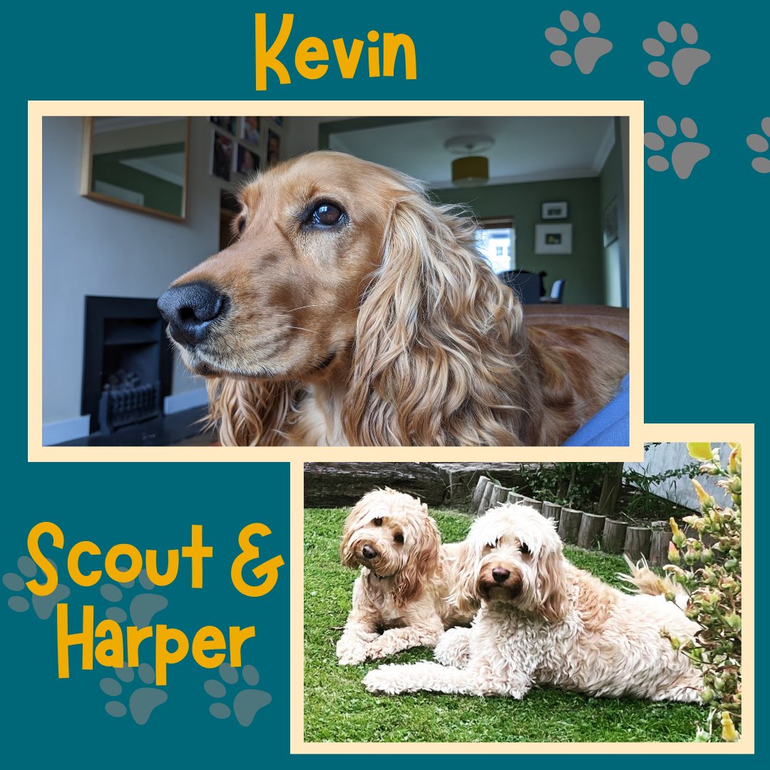 library_MU's tweet photo. Happy International Dog Day! @library_mu Enjoy some photos of the staff's doggos! π #internationaldogday #worlddogday #internationaldogday2022 #librarydogs #MULibrary (2 of 2) https://t.co/cLvOy7nWwY