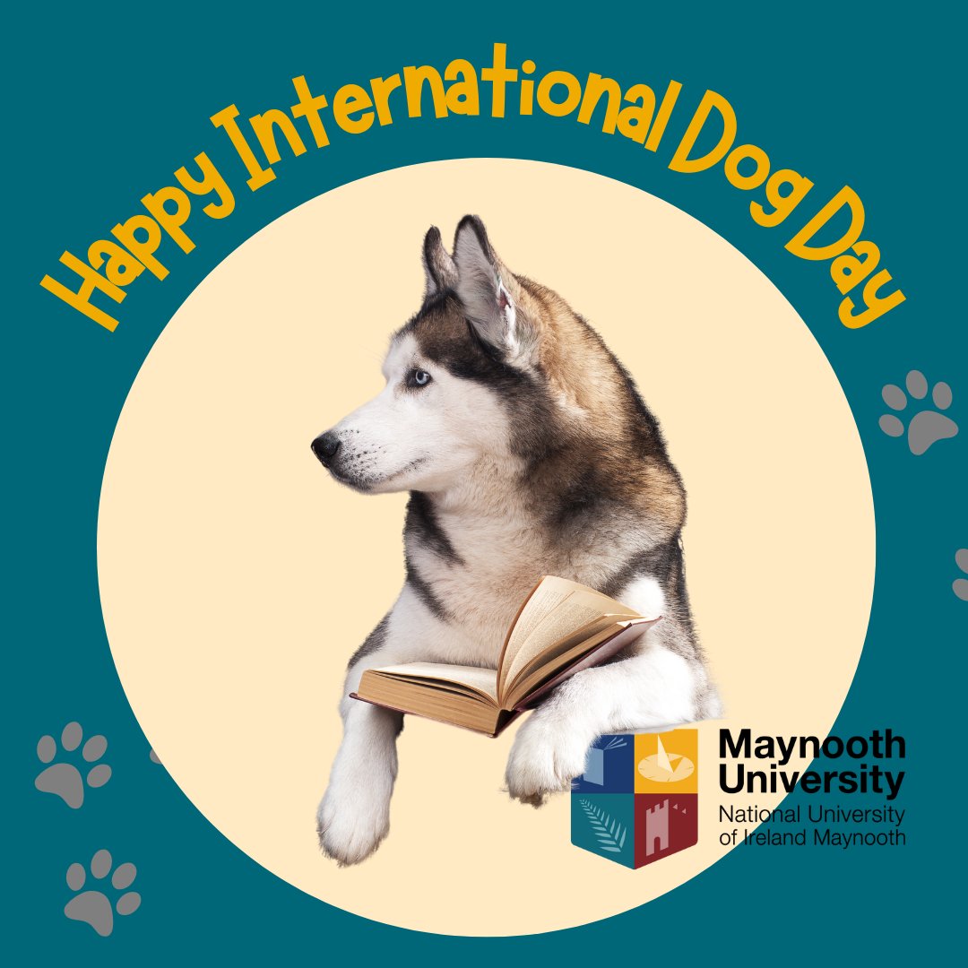 library_MU's tweet photo. Happy International Dog Day! @library_MU we'd like to show that Librarians are not just cat people. Enjoy some photos of the staff's doggos! π #internationaldogday #worlddogday #internationaldogday2022 #librarydogs #MULibrary (1 of 2) https://t.co/7anrOvMHfp
