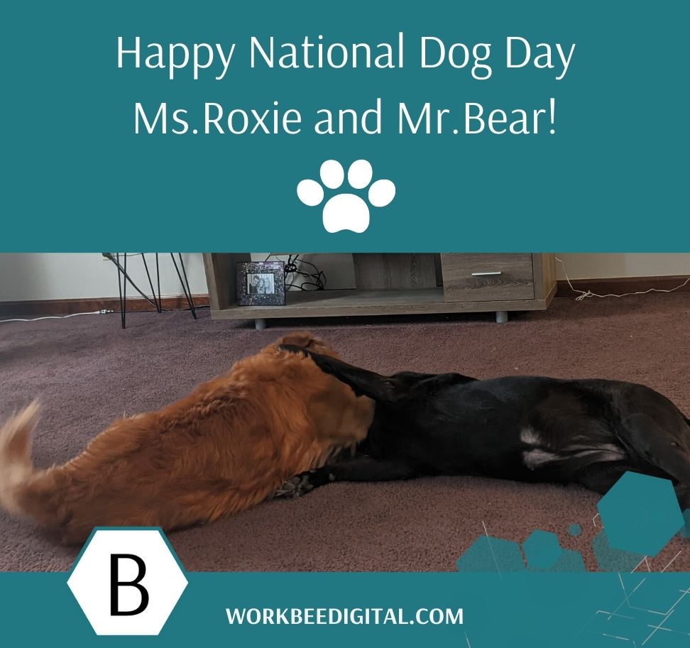 theworkbea's tweet photo. All a dog wants to do is love you and be loved by you. Dogs are amazing, courageous, sensitive and sentient beings who bring happiness to a home.  They aren't just meant to serve man, they deserve to live their best life too!
.
.
.

#nationaldogday
#dogslife
#loveourdogs https://t.co/ay3IMJY8DX