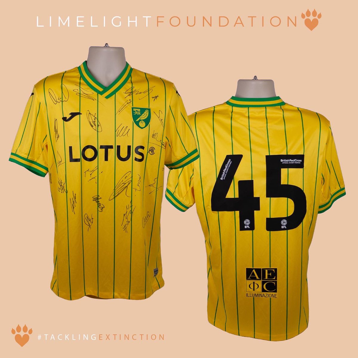 The Limelight Foundation tweet media
