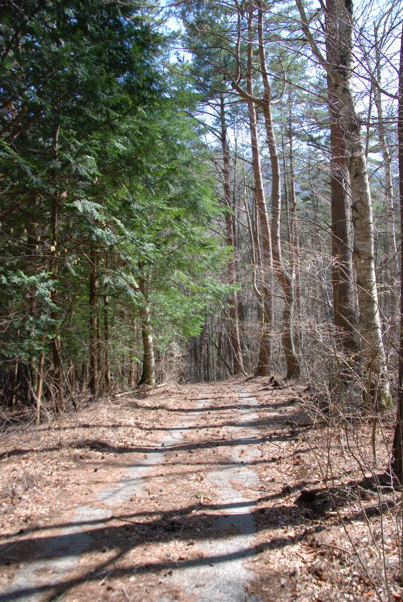 賃貸物件でお困りの事は、ぜひ当社へ！

空室がある・・・

建物の修理がある・・・

収益を上げたい・・・　

bit.ly/1K7c3DR

#賃貸 #空室 #リフォーム

不動産コンサルの栄和へ！