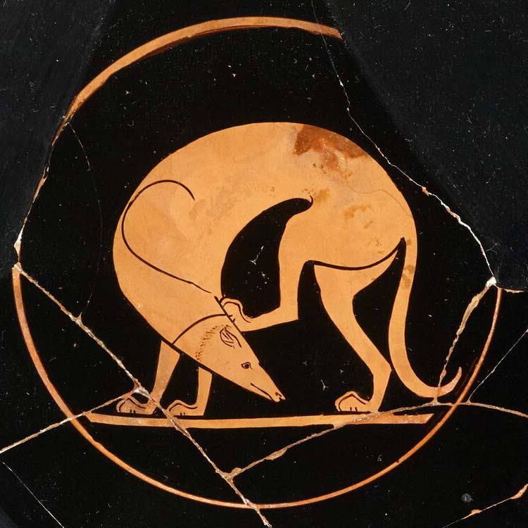 Ashmolean Museum tweet media