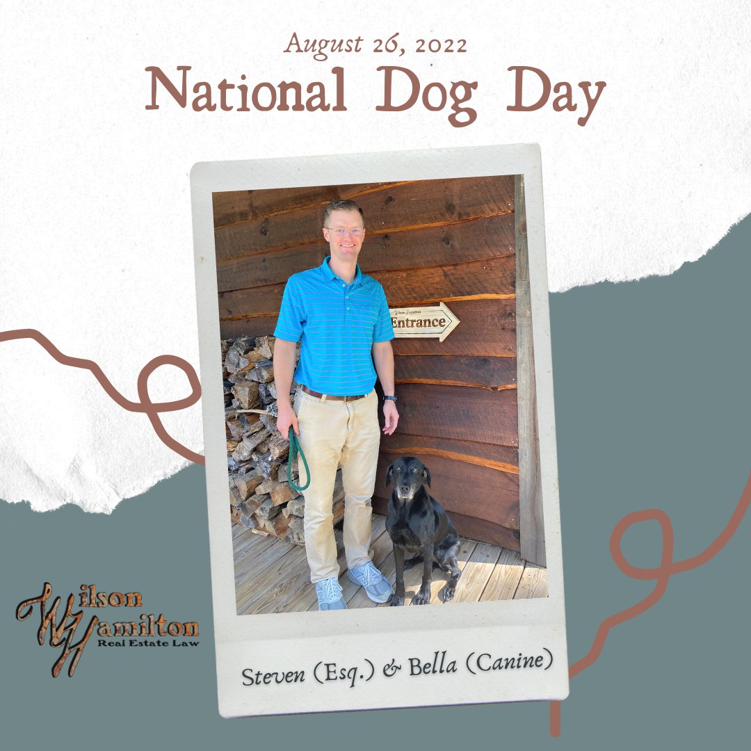 Wilsonhamilton_'s tweet photo. Meet Bella, the sweetest office dog in Blue Ridge! Other than shadowing Steven, Bella shares her love by visiting with employees and guests. 
Our offices are pet-friendly because we believe that everyone deserves a seat at the closing table. 🐶🐕🐾
 
Happy National Dog Day! https://t.co/rqjCzngjzy