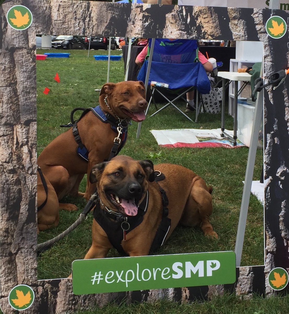 metro_parks's tweet photo. Happy #NationalDogDay! We love our furry, four-legged visitors, and want to see pics of your pups in the parks. Share your favorite shots from your adventures in #SummitMetroParks below! Photos by Joe Prekop. https://t.co/WdxtDcPzY2
