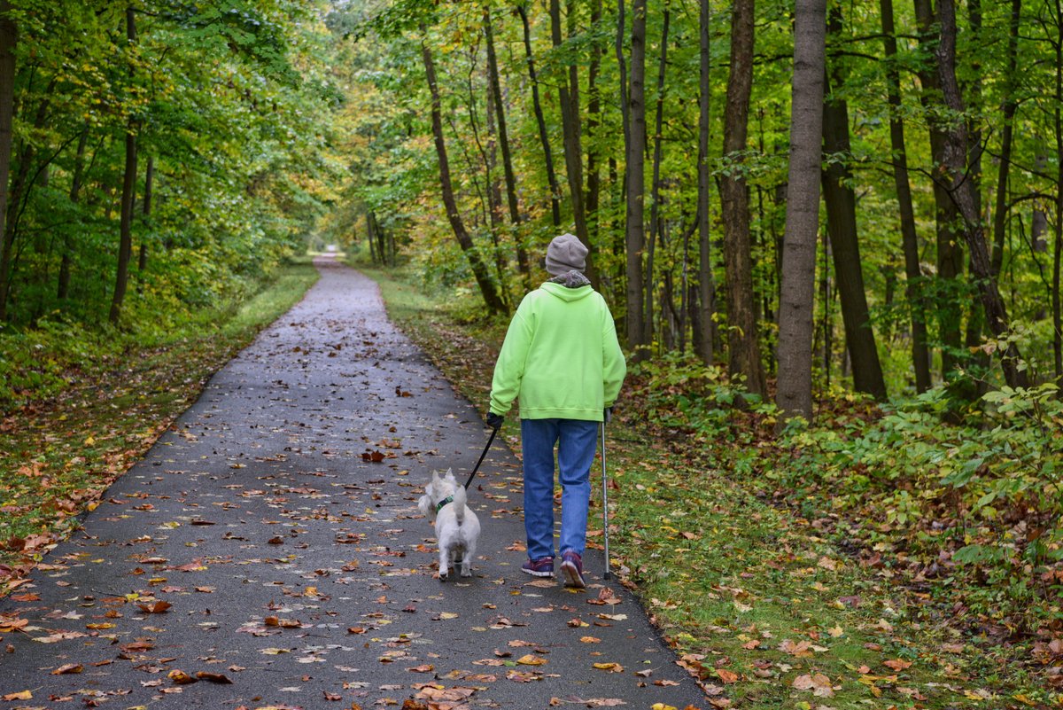 metro_parks's tweet photo. Happy #NationalDogDay! We love our furry, four-legged visitors, and want to see pics of your pups in the parks. Share your favorite shots from your adventures in #SummitMetroParks below! Photos by Joe Prekop. https://t.co/WdxtDcPzY2