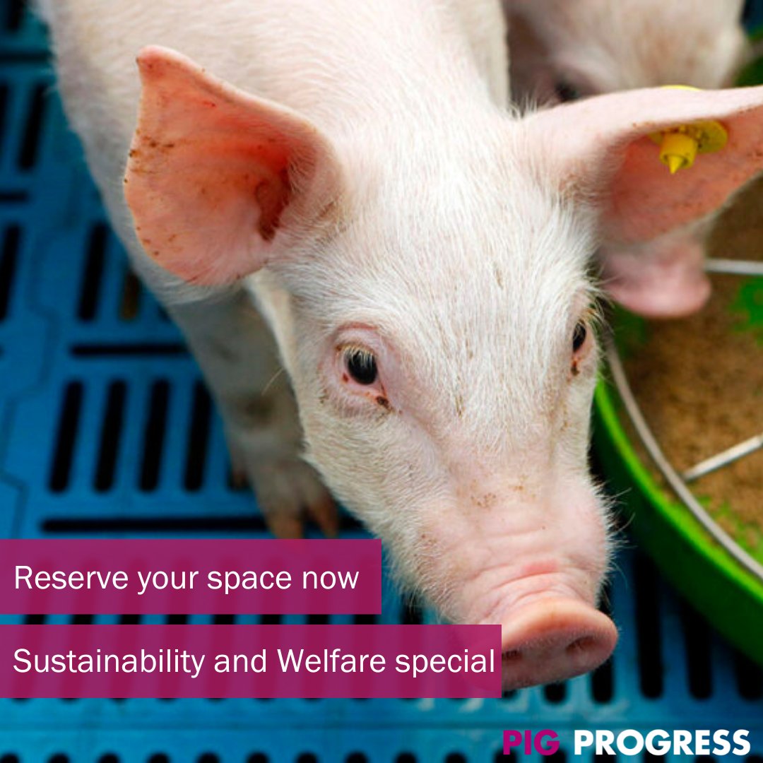Pig Progress is publishing a special magazine focusing on sustainability and welfare in the livestock industry. The special will be published in November and be presented at Eurotier 2022.  ow.ly/ZB3350KnGnf #livestock #sustainability #animalwelfare #specialmagazine