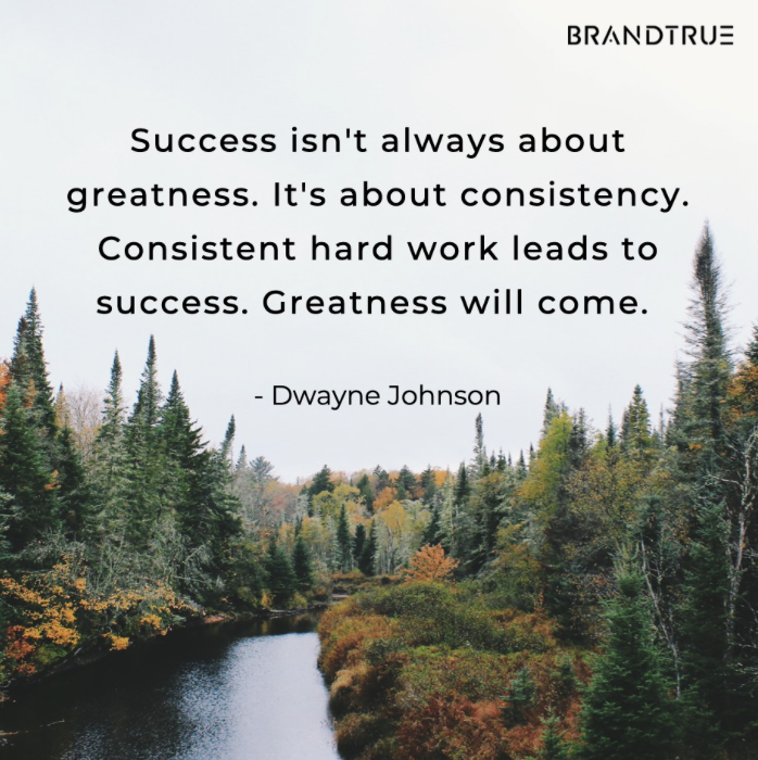 BrandTrue1's tweet photo. #brandtrue https://t.co/g3kw0FYIYZ