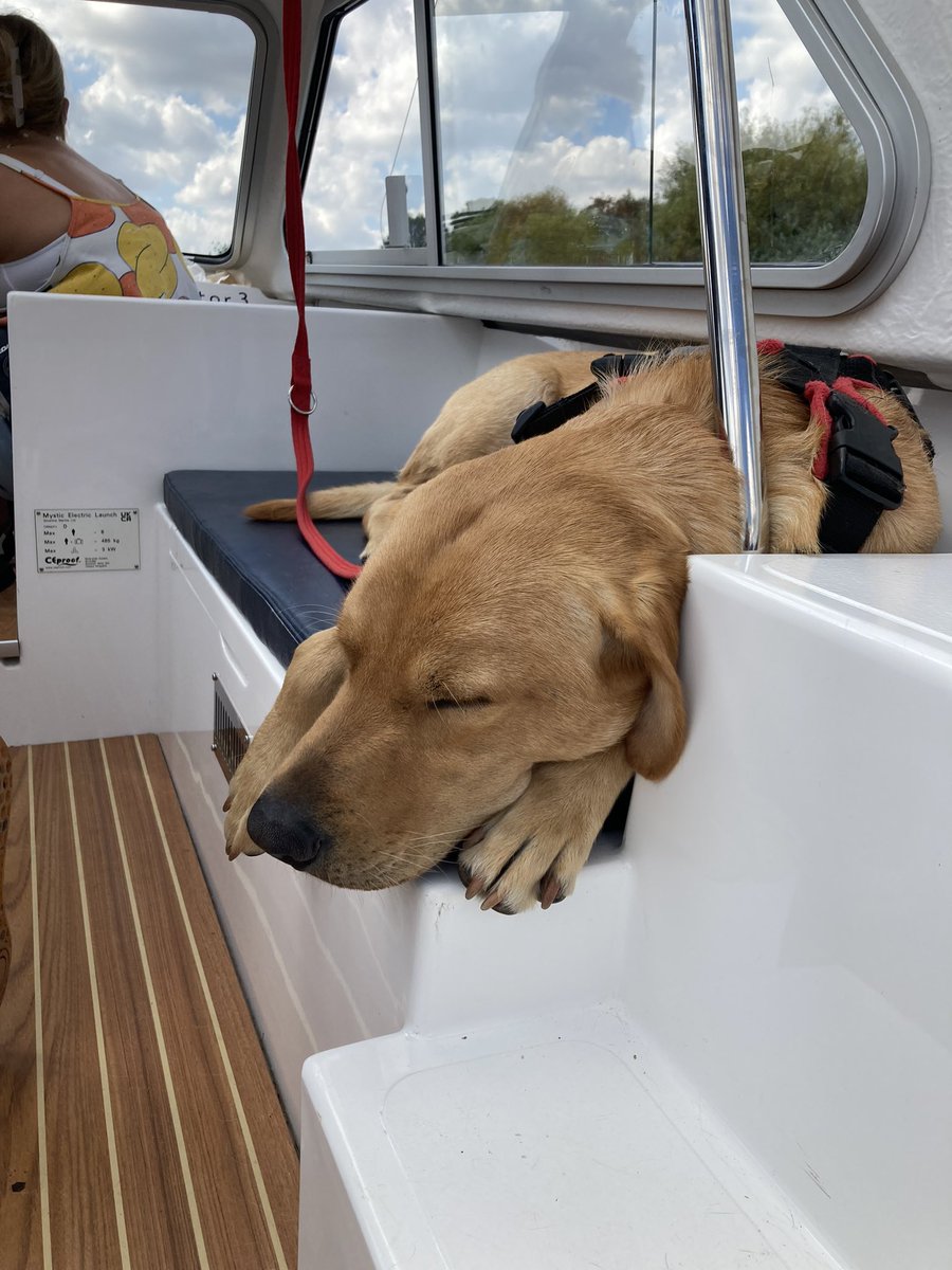 Thankyou @broomboats for a lovely welcome and morning on the broads. Doggy enjoyed his first ever boat trip 😊