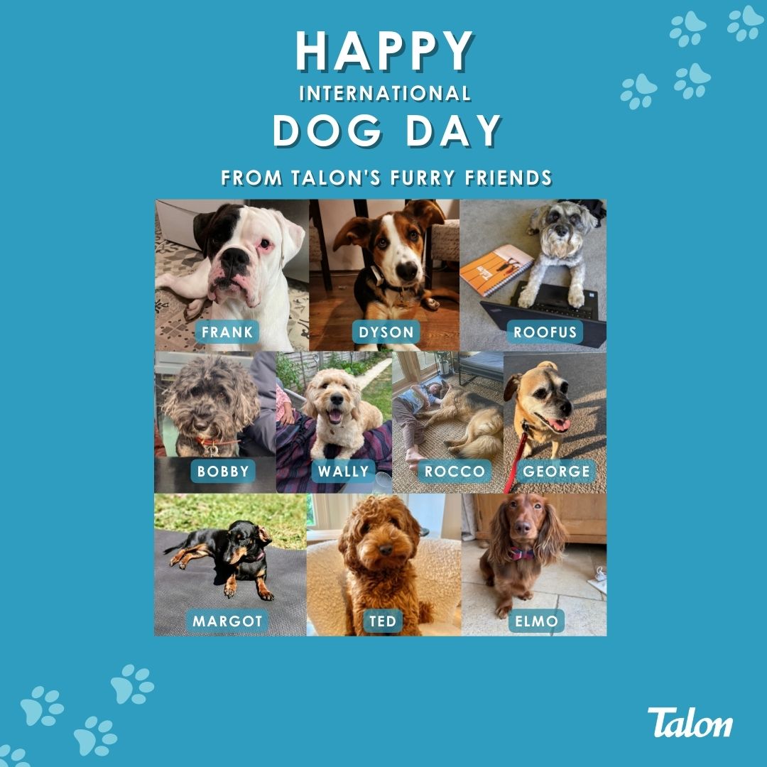 TalonOOH's tweet photo. Happy #InternationalDogDay!

In the spirit of International Dog Day, we wanted to share some of our favourite pictures of our furry friends at Talon. https://t.co/7FgM67zzhP