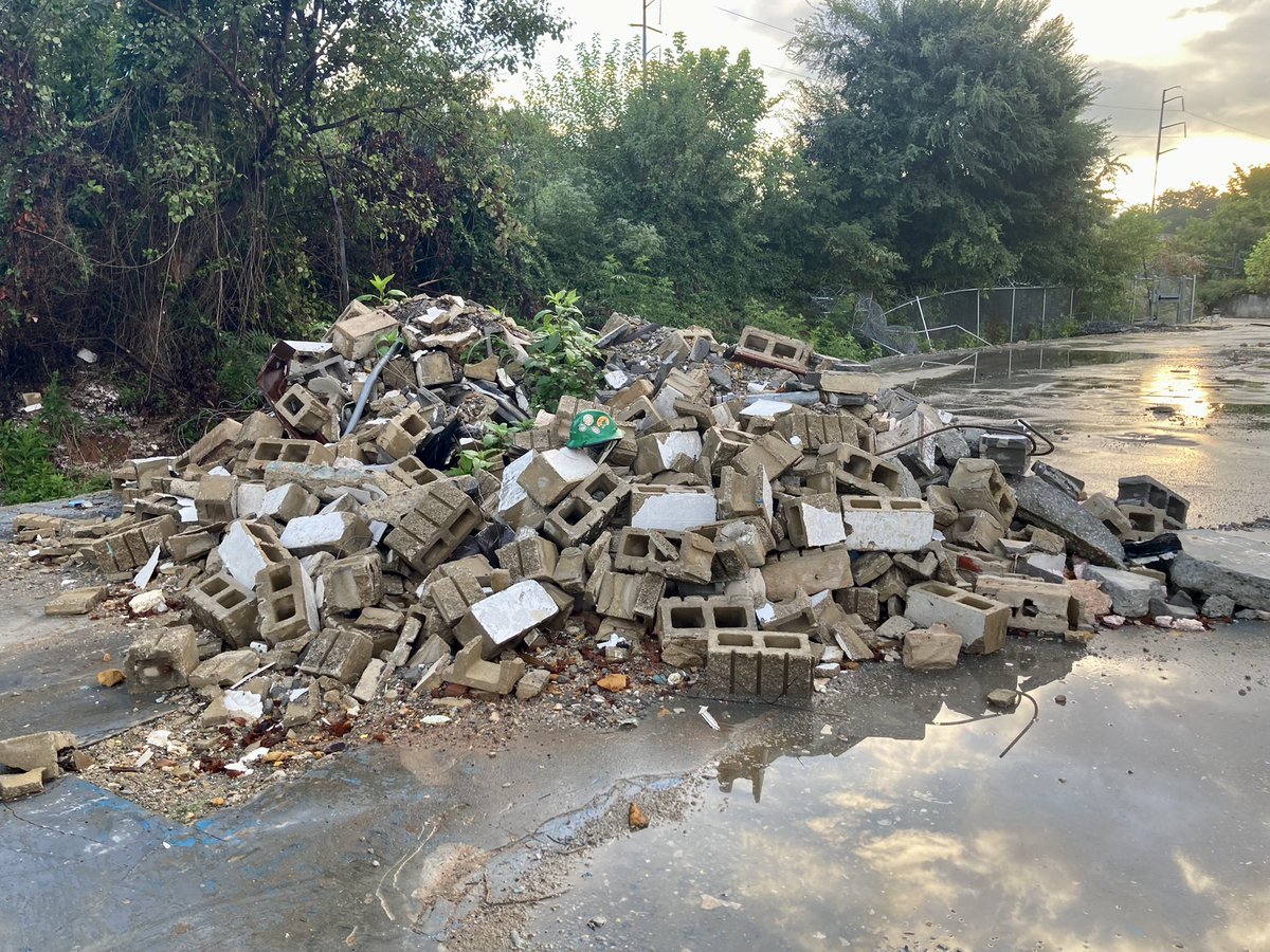 @austinlouisray.bsky.social tweet media