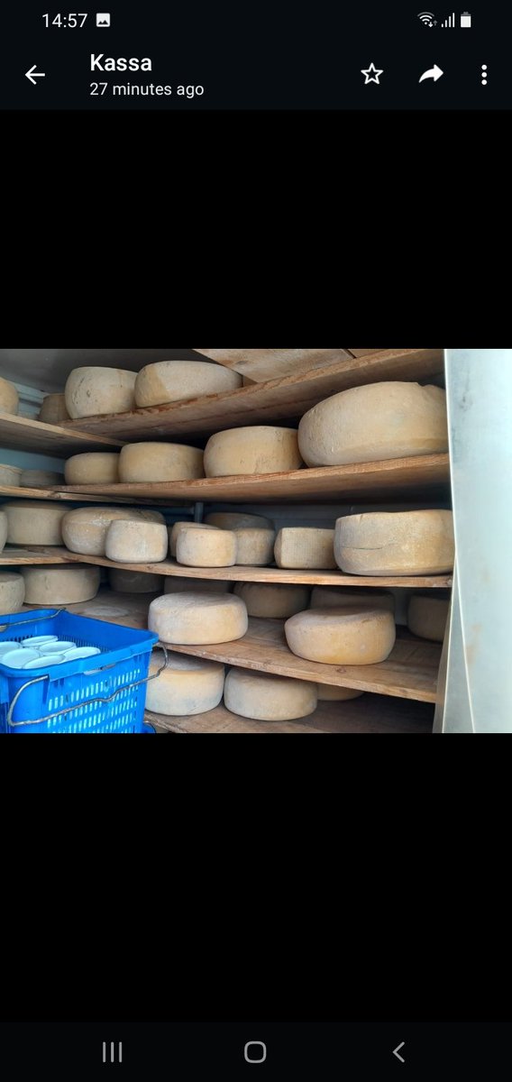 Ambassador &amp; Embassy Commercial team visited Azieb Dairy Farm,Dubarwa &amp;interacted with Mrs Azieb Tsegay, owner. Her farm produces variety of dairy products from milk produced in her farm &amp; bought from local  farmers. An impressive success story of a woman entrepreneur of Eritrea.