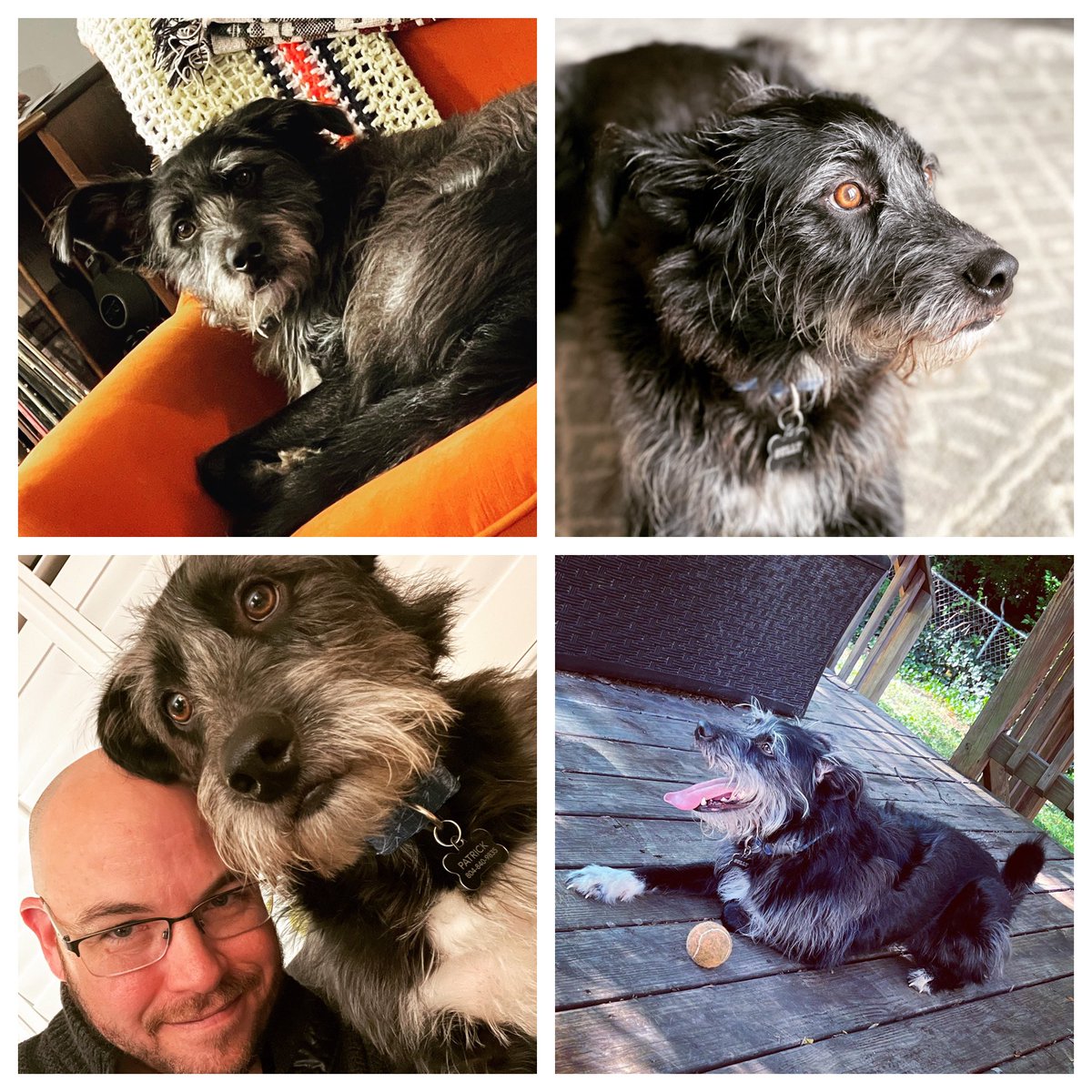 RVA4n6's tweet photo. Showing some love for my best bud Sully on #internationaldogday
#sullysocks
Let’s see your furry 4-legged best friend(s)!
🐶 🐕 https://t.co/zkvMyDSTZh