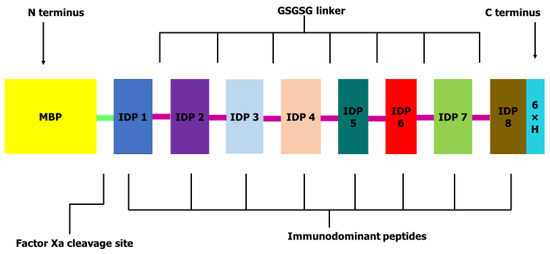 Pathogens_MDPI's tweet photo. #EditorsChoice
In Silico Design and Validation of OvMANE1, a Chimeric Antigen for Human #Onchocerciasis Diagnosis

by Cabirou Mounchili Shintouo et al.
Full-Text https://t.co/IKo3md0yxQ
 #Onchocercavolvulus https://t.co/Ic7iaabevB