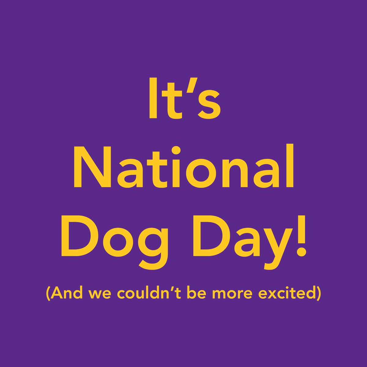Today is National Dog Day! Someone once said ‘Everyone thinks they have the best dog. And none of them are wrong.’ We tend to agree. So, show us your First Mate, Allied Health Sciences – your pure-bred, your shelter rescue. We want to see them all.