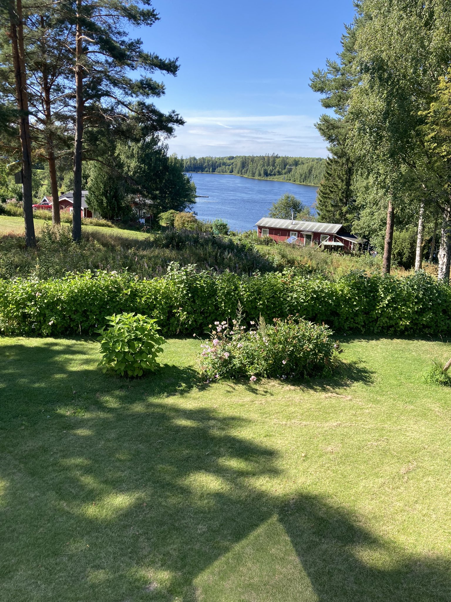 Clark Olofsson Clark En Rovarhistoria Gunilla Rosén (@rmgrosen) / Twitter