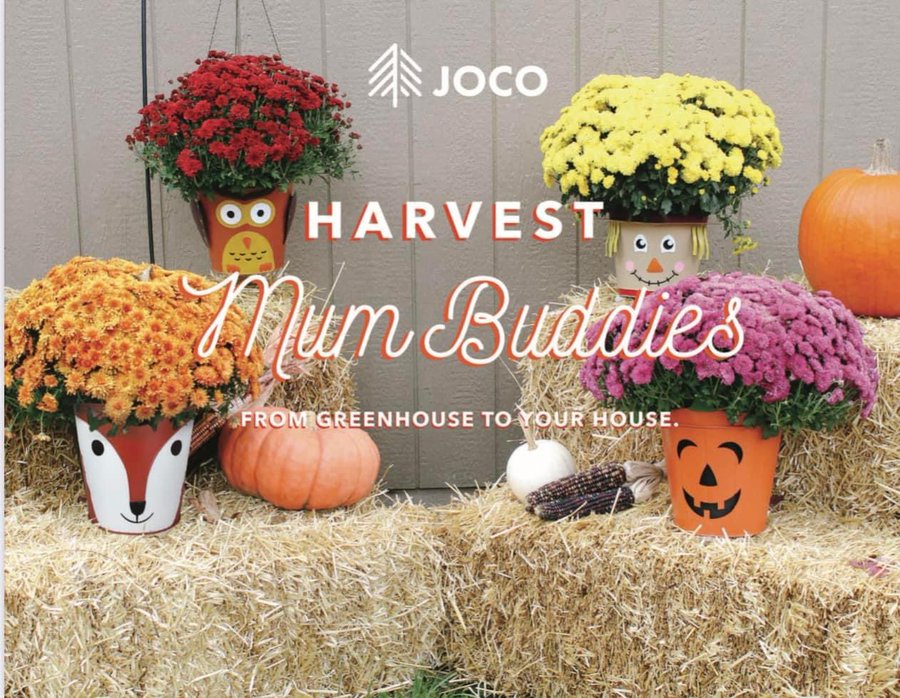 Don't miss out on ordering mumkins! How cute are these!? 🎃Great for fall porch decor! 👻🍃 Order now thru September 9th! Mumkins can be picked up on September 24th (details will be sent out via email that week). More info coming home in book bags &amp; to your inbox soon! 🦊 🎃🦉